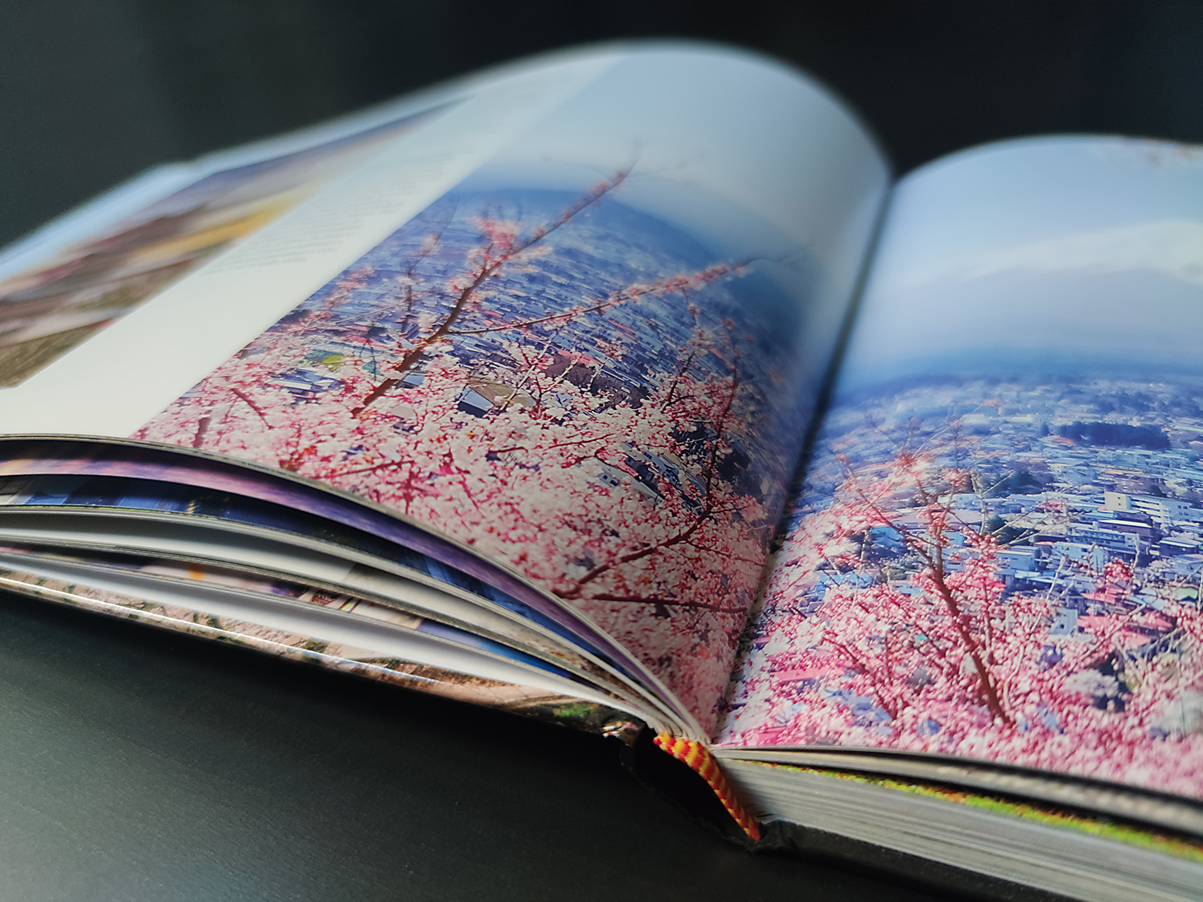 L'interno del volume fotografico "Giappone" di Dix